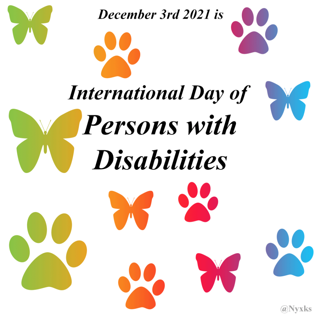 December 3rd 2021 is International Day of Persons with Disabilities